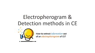 Capillary Electrophoresis Part 4 Electropherogram amp Migration Time [upl. by Nole]