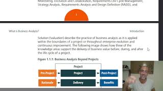 Business Analysis BABOK Guide Chapter 1 Introduction [upl. by Giza611]