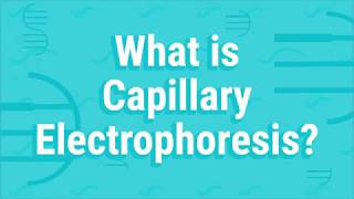 What Is Capillary Electrophoresis [upl. by Nairim206]