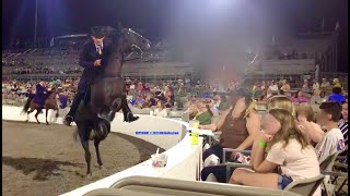 HORRIFIC quotBIG LICKquot CANTER GAIT  Four Year Old Mares  TN Walking Horse Celebration  Aug 27 2021 [upl. by Idisahc]