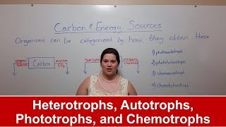 Heterotrophs Autotrophs Phototrophs and Chemotrophs [upl. by Onitnelav]