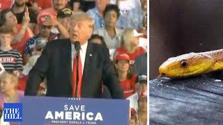 Trump reads “the snake” to rally attendees [upl. by Srednas]