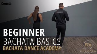 Bachata Beginner Basic Steps Tutorial  Demetrio amp Nicole  Bachata Dance Academy [upl. by Inerney]