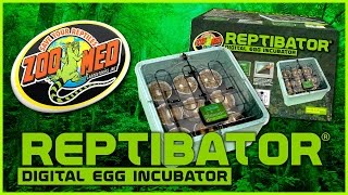 Zoo Med ReptiBator® Digital Egg Incubator [upl. by Adnohs]