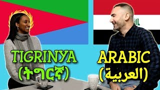 Similarities Between Tigrinya and Arabic [upl. by Doownyl]