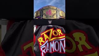 Razor RamonScott Hall tribute [upl. by Ivo]