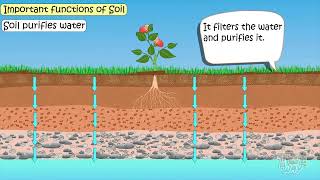 Soil  Functions of Soil  Soil Functions  Components amp Properties of Soil  Soil Types  Science [upl. by Yelyah]