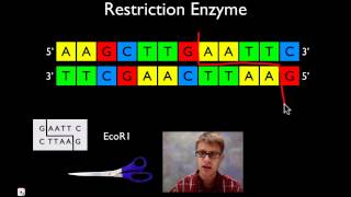 Molecular Biology [upl. by Oinigih]