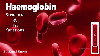 Hemoglobin structure amp its functions  Study MLT [upl. by Sillad]