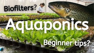 What is Aquaponics and How Does it Work [upl. by Frere474]