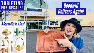 GOODWILL DELIVERS AGAIN  3 Stops 1 Day  Thrift With Me  Goodwill Haul  Thrifting For Resale [upl. by Alyat]