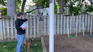 Squirrel Proof Bird Feeding Station [upl. by Yobybab]