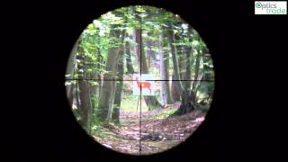 Bushnell Banner 412x40 AO reticle Multi X  Optics Trade Subtensions [upl. by Htebirol14]