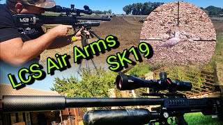 LCS Air Arms SK19 PCP Airgun Pigeon destroyer💥 [upl. by Airat637]