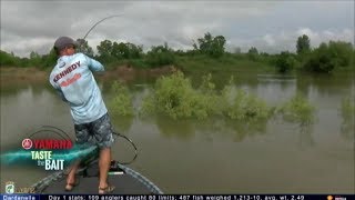 Taste the Bait Dardanelle swim jigs and frogs [upl. by Oht61]