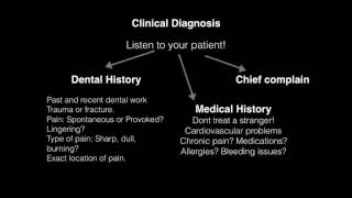 Endodontic Diagnosis amp Treatment Planning [upl. by Plantagenet]