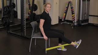 Wellstar Virtual Trainer Band Exercises For Your Knees [upl. by Aicsila]