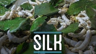 Silk from Scratch  How To Make Everything Suit 610 [upl. by Ancell]