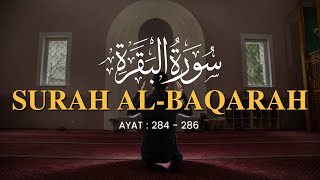 3 Ayat Terakhir Surat Al Baqarah 284286  Zain Abu Kautsar [upl. by Dimmick]