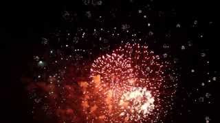 Fireworks with Sound Effects [upl. by Hoyt]