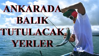 ANKARADA BALIK TUTULACAK YERLER [upl. by Antoinette]