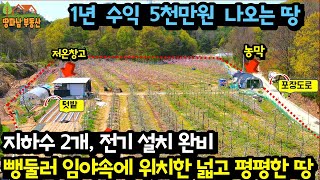 1년 농사 5천 만원 이상 수익 나오는 토지매매 전기 지하수 농막 쉼터 저온창고 모두 드립니다 뺑 둘러 산속 넓고 평평한 땅 간섭없는 한적한 위치 포장도로접 충주 부동산 전문 중개 [upl. by Therese]