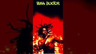 Bush doctor  Peter Tosh [upl. by Airrehs605]